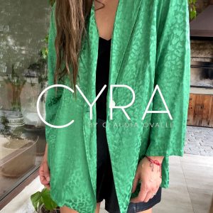 Blazer BS verde